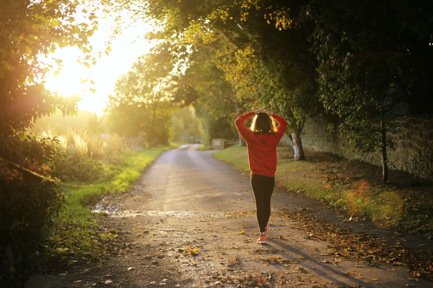 The Health and Performance Benefits of Rhodiola