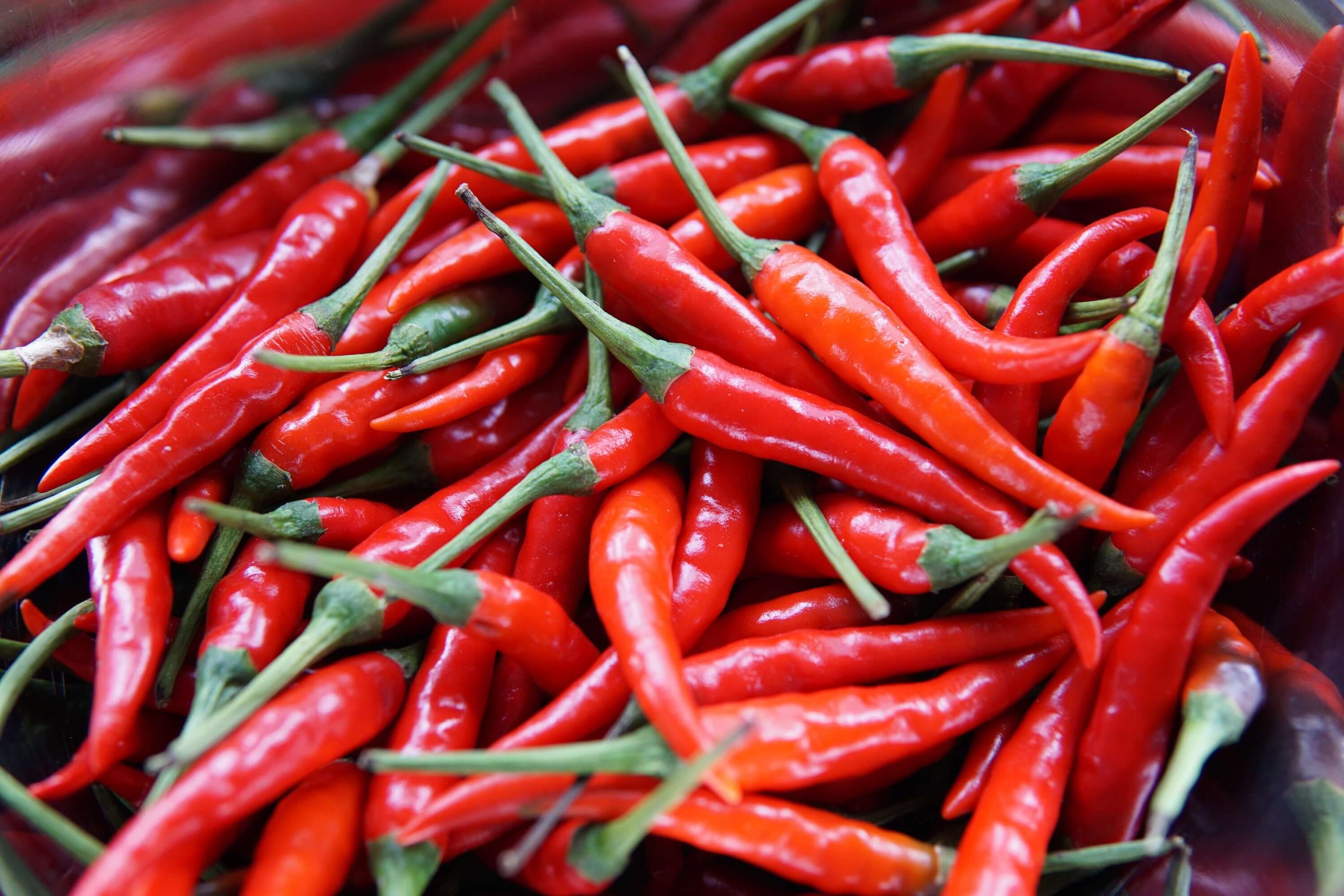 Cayenne for Metabolism: Does It Work?