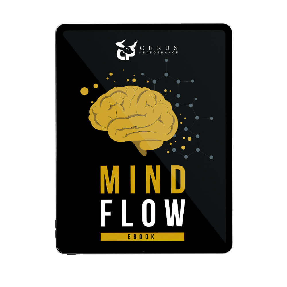 Mind Flow mindset e-book cover