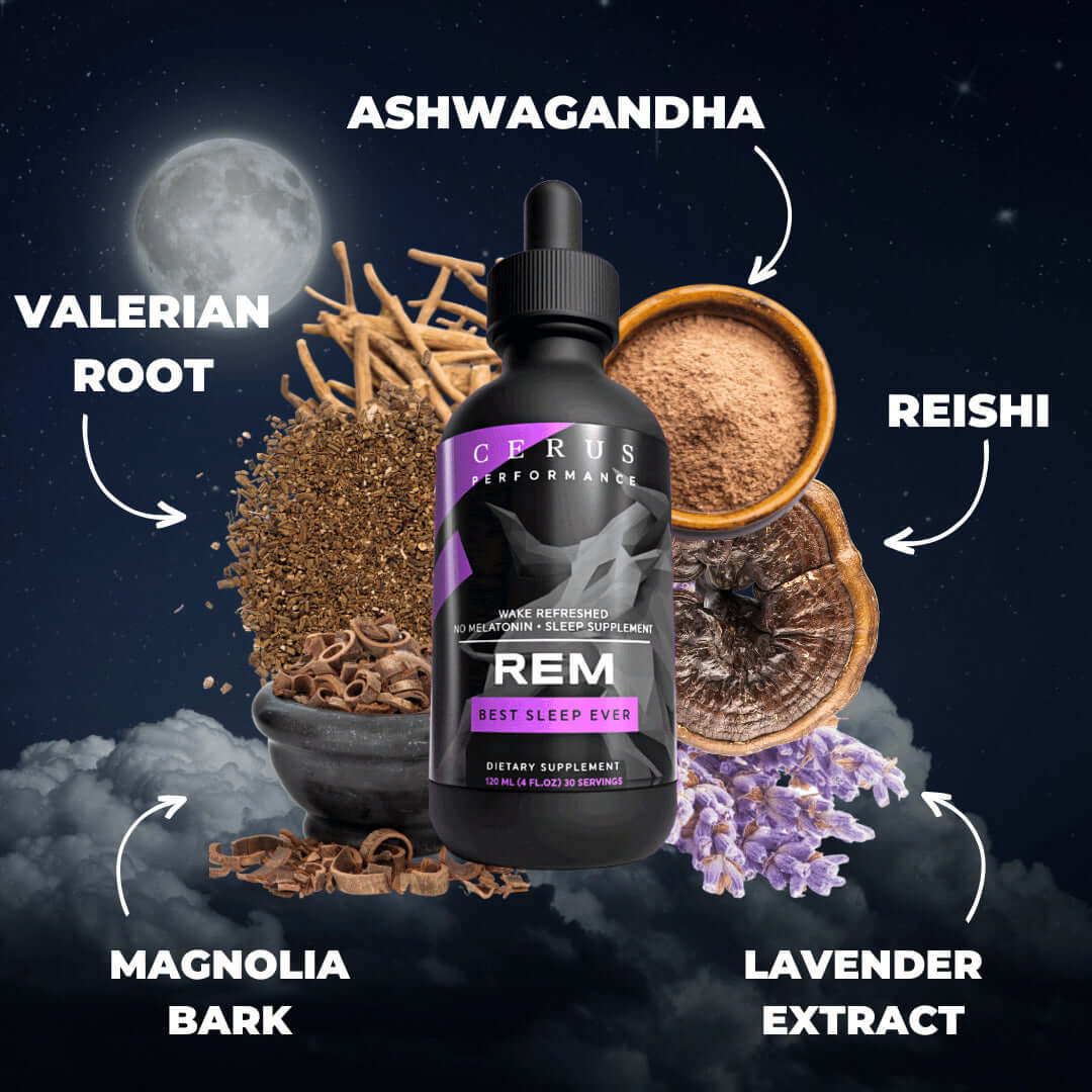 REM sleep supplement with the ingredients around it